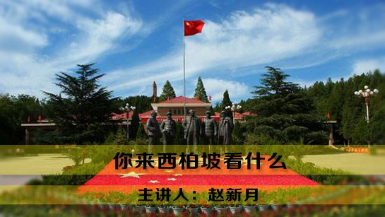 你来西柏坡看什么